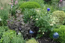 Juni     7723.webp