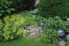 Juni     7923.webp