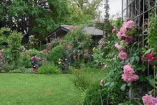 Juni     8023.webp