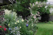 Juni     9823.webp