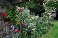 Juni     9923.webp