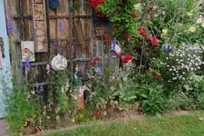 Juni     9923.JPG a.webp