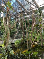 IMG_1177.jpeg