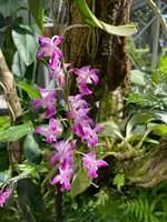 IMG_1178.jpeg