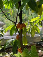 IMG_1179.jpeg