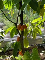 IMG_1179.jpeg