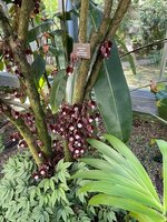 IMG_1180.jpeg