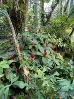 IMG_1182.jpeg