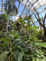 IMG_1183.jpeg