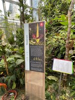 IMG_1185.jpeg