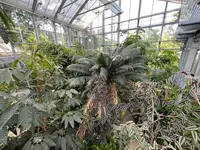 IMG_1189.jpeg
