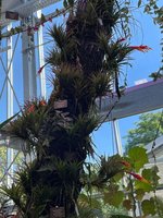 IMG_1192.jpeg