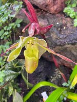 IMG_1193.jpeg