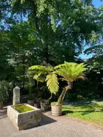 IMG_1195.jpeg