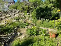 IMG_1207.jpeg