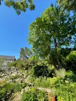 IMG_1208.jpeg