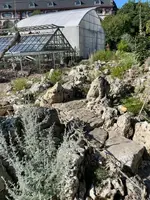 IMG_1209.jpeg