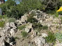 IMG_1210.jpeg