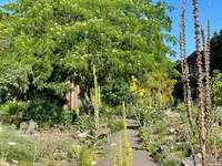 IMG_1222.jpeg