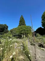 IMG_1223.jpeg