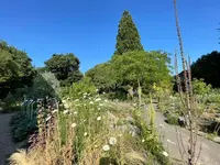 IMG_1224.jpeg