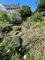 IMG_1225.jpeg