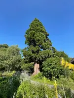 IMG_1226.jpeg