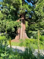 IMG_1227.jpeg