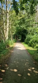 IMG-20230625-WA0003.webp