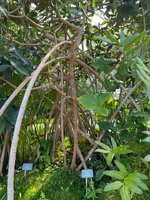 IMG_1205.jpeg