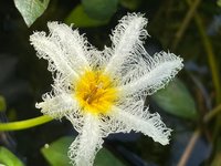 IMG_1204.jpeg