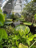 IMG_1200.jpeg