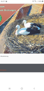 Screenshot_20230626-065710_Samsung Internet.webp