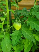 20230626_080435.webp
