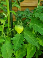 20230626_080435.jpg