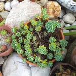 20230626_110803.webp