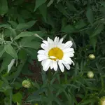 20230626_110601.webp