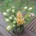 20230626_110512.webp