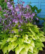 IMG_20230626_140514.webp