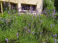 IMG_20230626_140006.webp