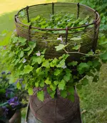 IMG_20230626_135504.webp