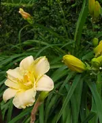 IMG_20230626_135544.webp