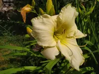 IMG_20230626_134335.webp