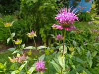 IMG_20230626_134400.webp