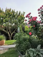 IMG_20230622_155840.webp