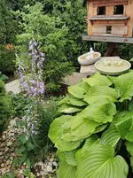 IMG_20230624_122817.webp