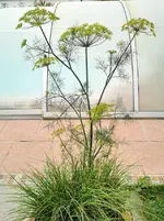 IMG_20230624_121527.webp