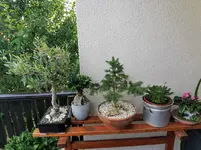 IMG_20230626_160759.webp