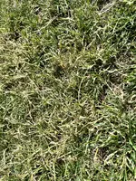 IMG_8971.webp