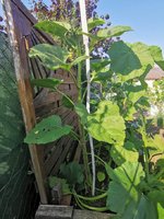 IMG_20230626_172443.jpg